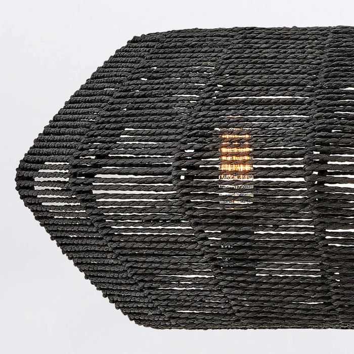 Hinkley Luca 3-Light Black Modern Duo-Mount Pendant Chandelier